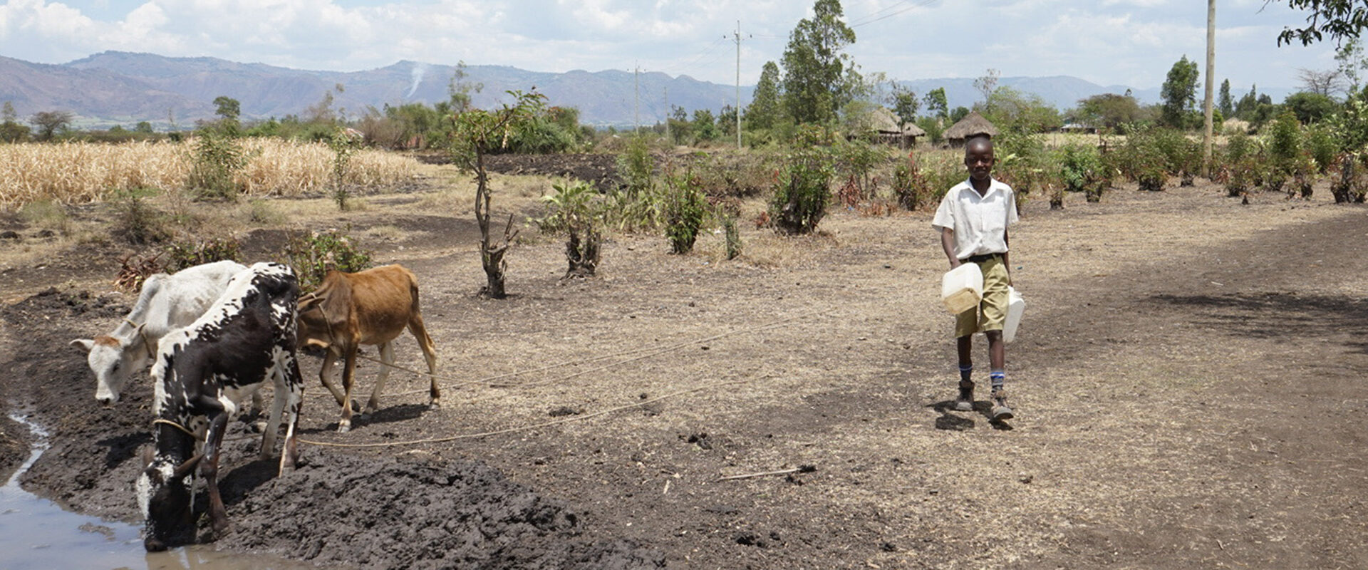 Bild zum Bannerelement - Brunnenbau in Afrika: So können Sie mit einer Wasserspende helfen