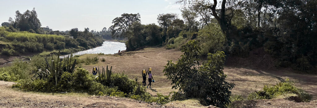 Women returning from a river in rural Kenya, carrying jerry cans with water, amidst a landscape of natural beauty yet challenged by water contamination issues.