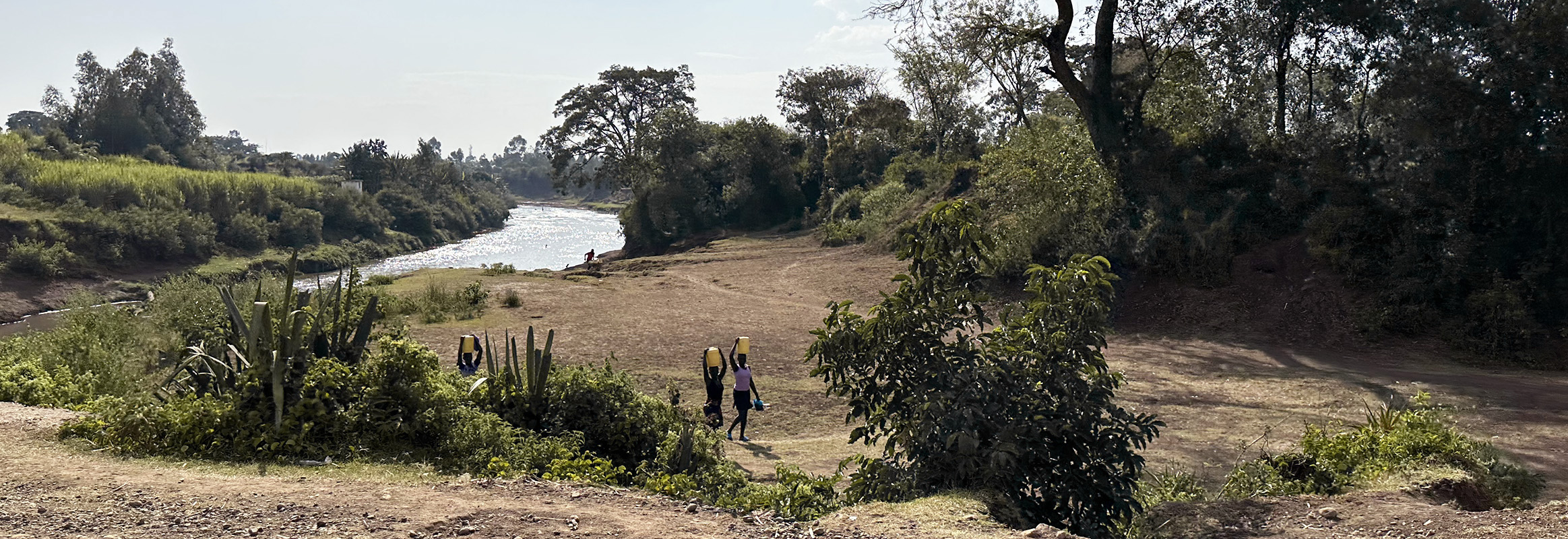 Women returning from a river in rural Kenya, carrying jerry cans with water, amidst a landscape of natural beauty yet challenged by water contamination issues.