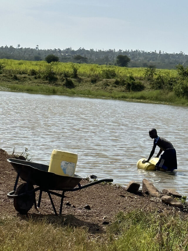 A young boy in Homa Bay, Kenya, fetches water from a stagnant pond, a common yet unsafe source of water for many rural families.